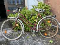 Bicicleta classica unisexo - estilo vintage