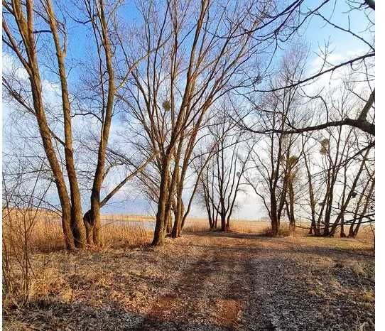 Продаж земельної ділянки з прямим виходом в Дніпро с. Коробівка