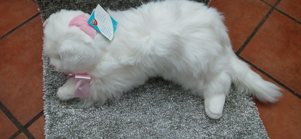 Gato de peluche  com etiqueta