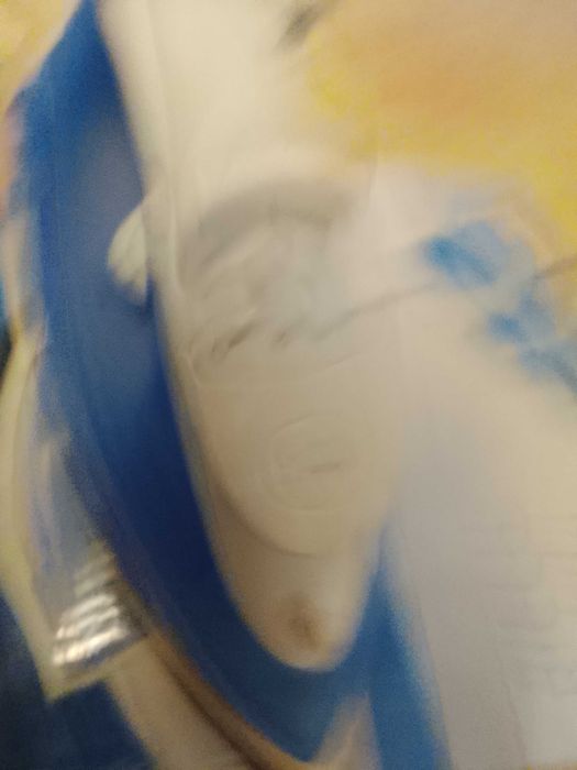 Żelazko elektryczne Rico