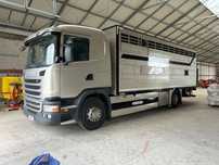 Scania G320  Scania G320 do przewozu bydła żywca zabudwa Pezzaioli stan idealny