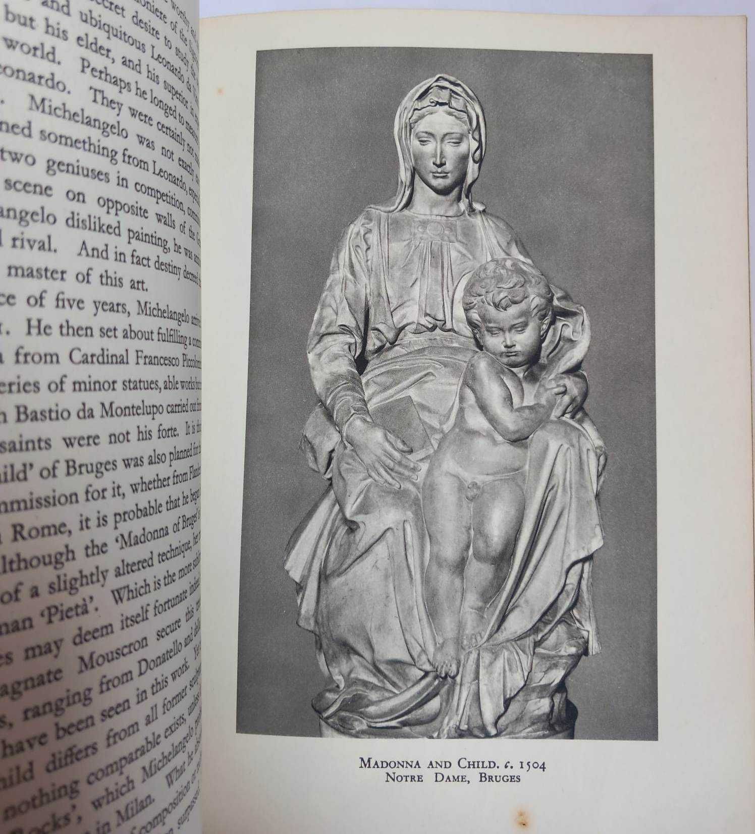 Michelangelo de Rolf Schott