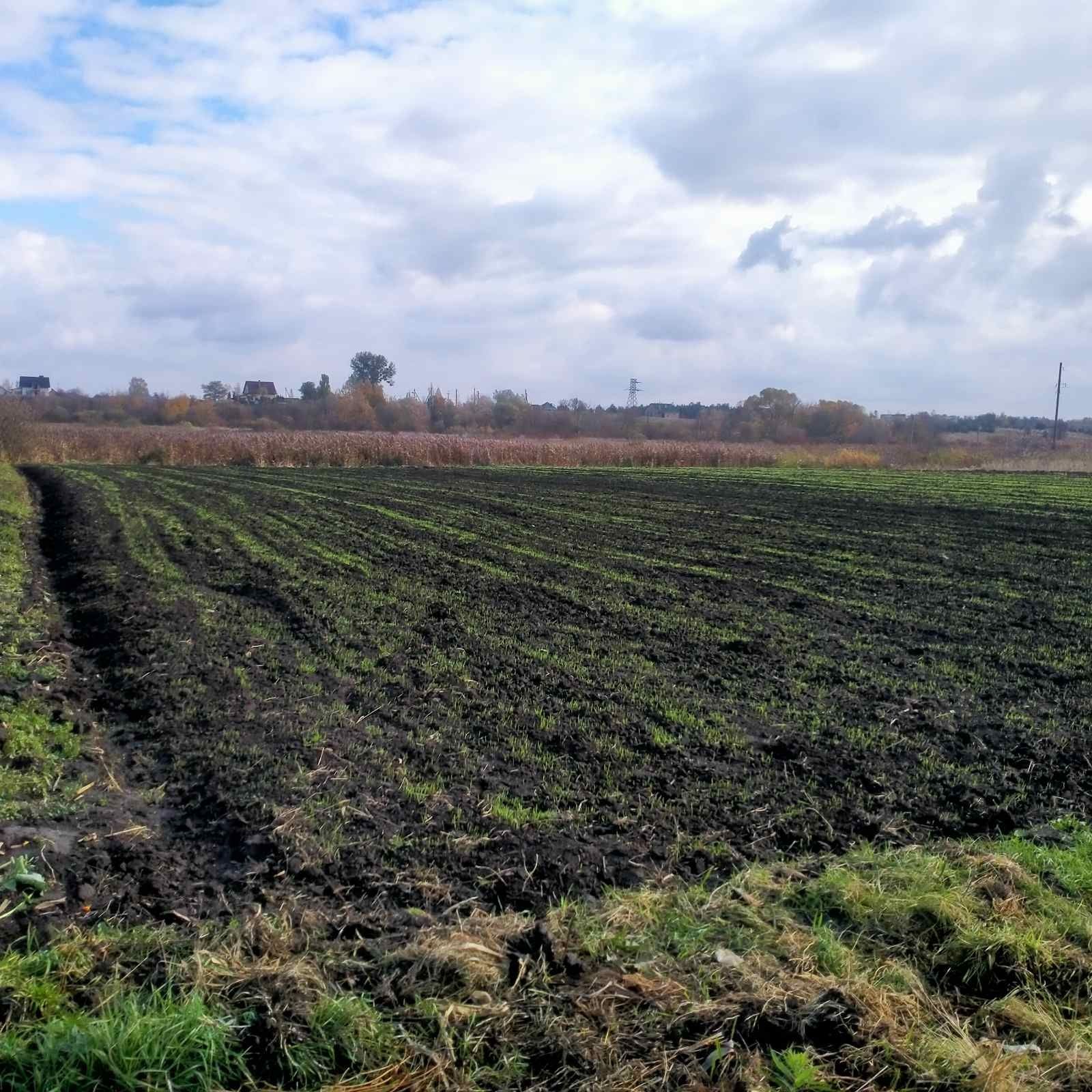 Земельна ділянка під забудову м. Рожище