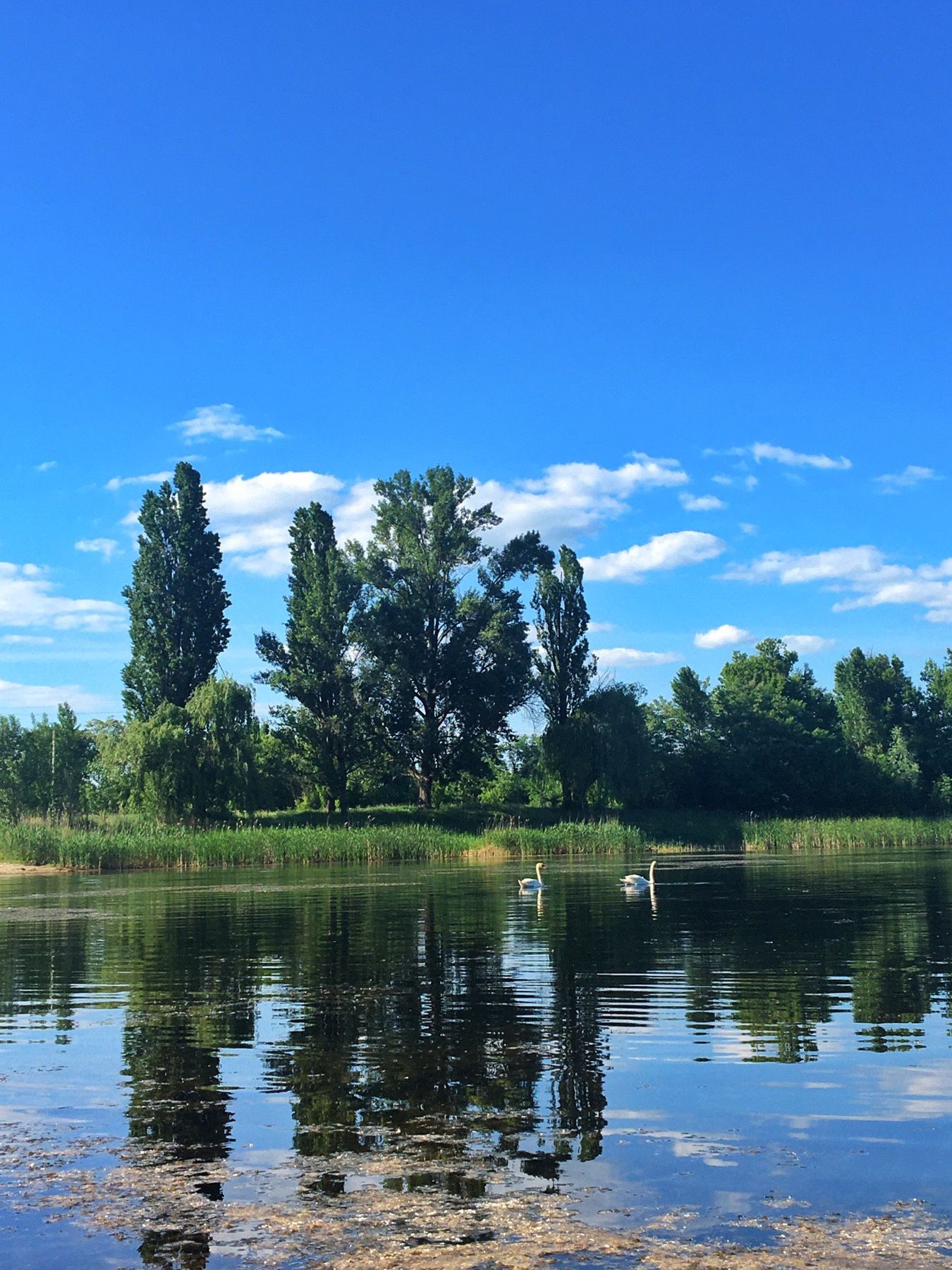 Земельна ділянка