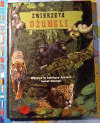 Książka ,,Zwierzęta Dżungli"