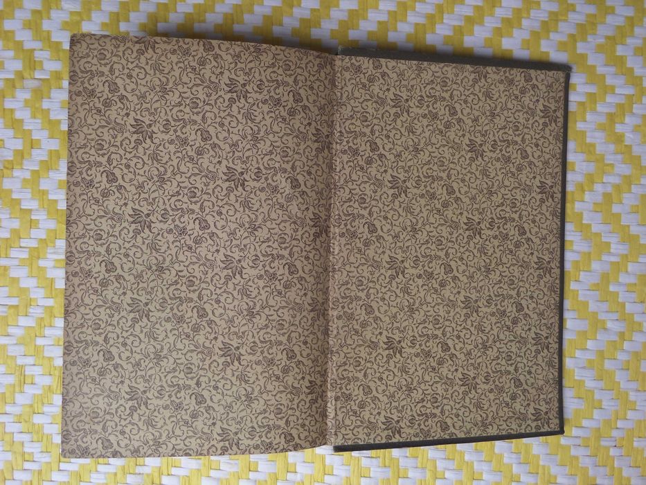 Os Lázaros – Figuras de Hoje
Abel  Botelho
1ª EDIÇÃO