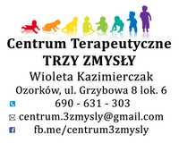 Terapia i diagnoza integracji sensorycznej w Ozorkowie