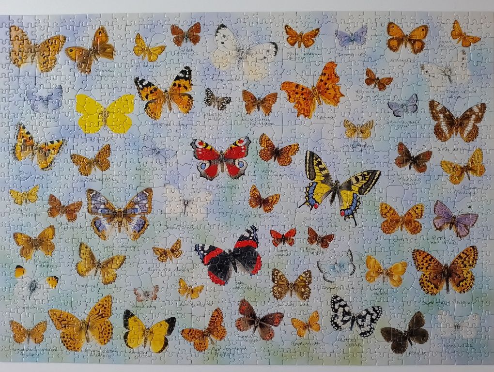 Puzzle 1000 motyle Butterflies a la hop