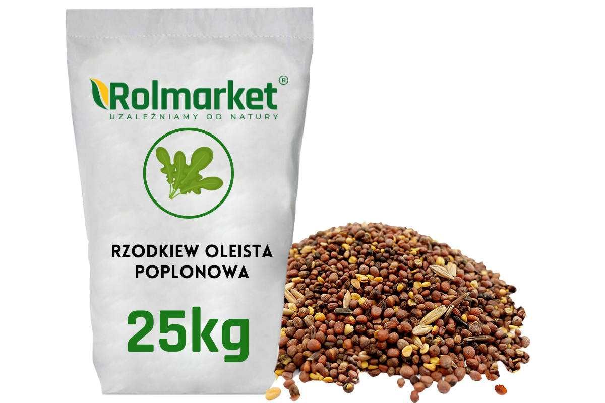 Mieszanka poplonowa Gryka Rzodkiew Nasiona Gorzowska Poplon Wysyłka