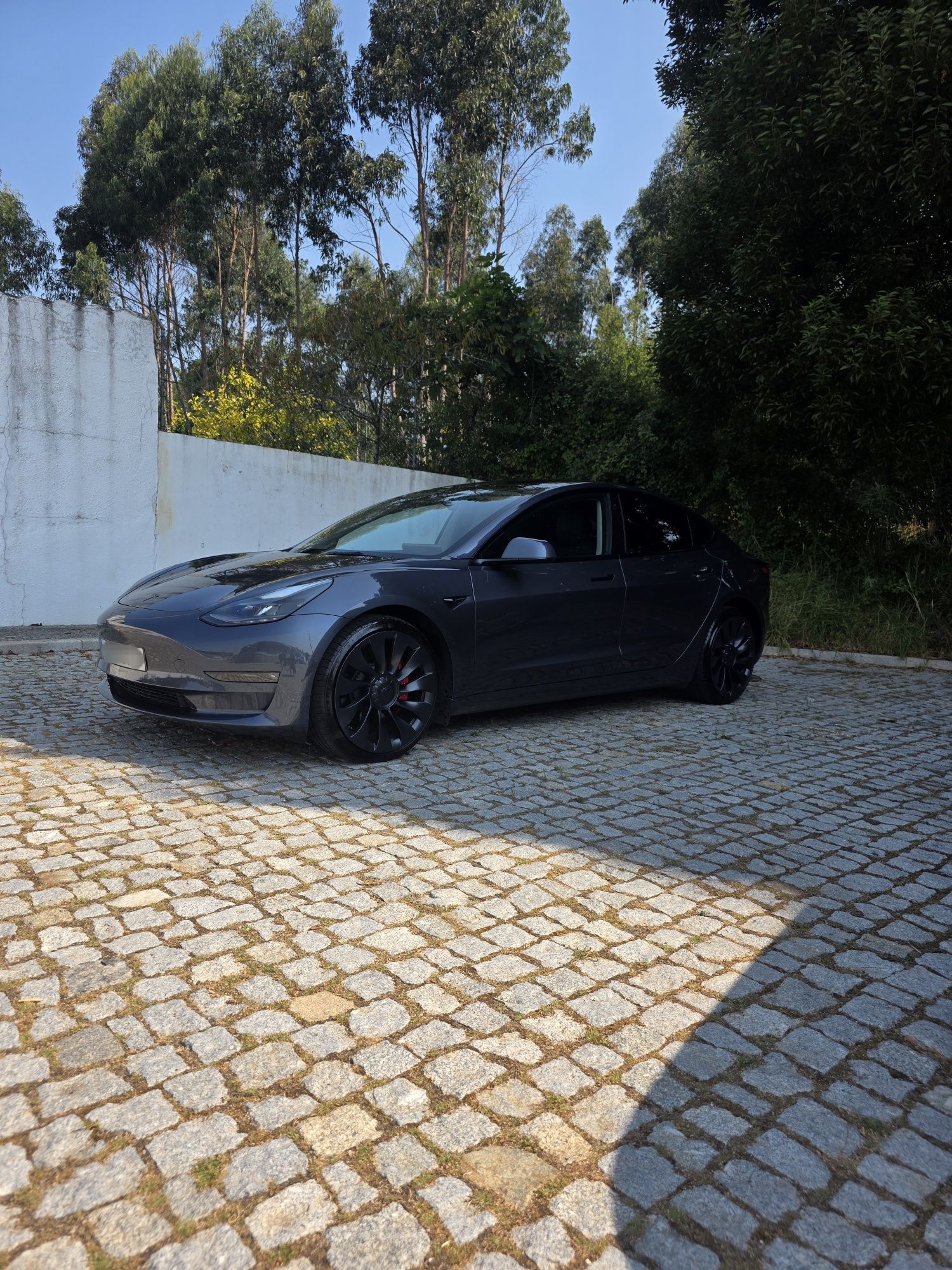 Tesla model performance