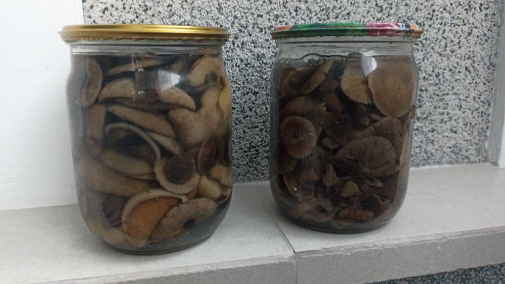 Продам різні смачні гриби