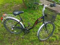 Rower Folta Sedona Swan