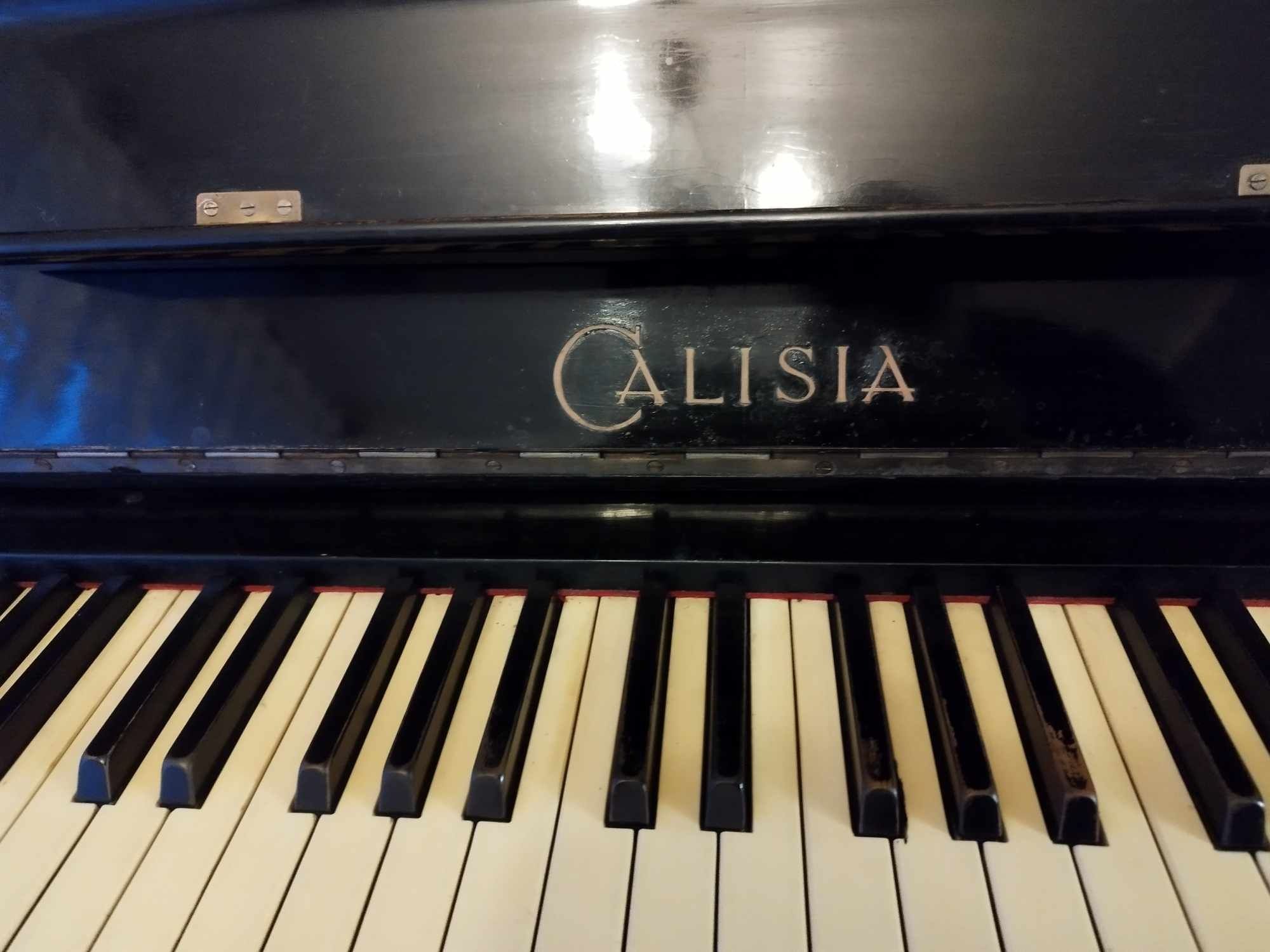 Pianino Calisia do sprzedania