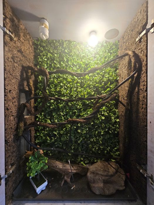 Terrarium dla gadów