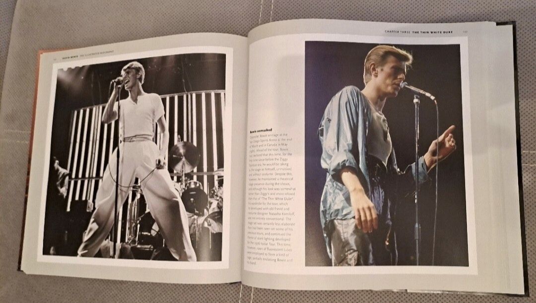 David Bowie  - ilustrowana biografia
