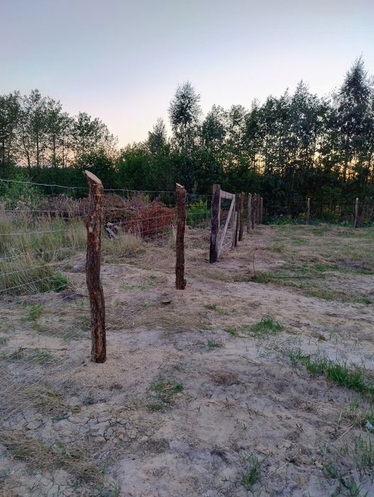 Czyszczenie działek, ogrodzenia tymczasowe, cięcie drewna, sprzątanie