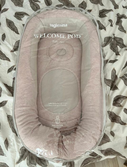 Sprzedam kokonik Inglesia