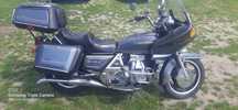 Honda gl 1100 goldwing
