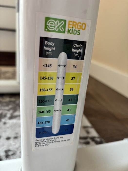 Комплект дитяча парта зі стільцем ErgoKids