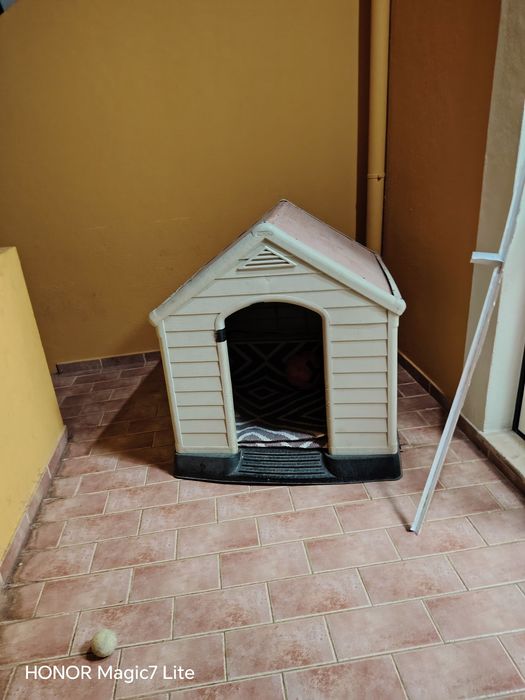 Casota grande para cão