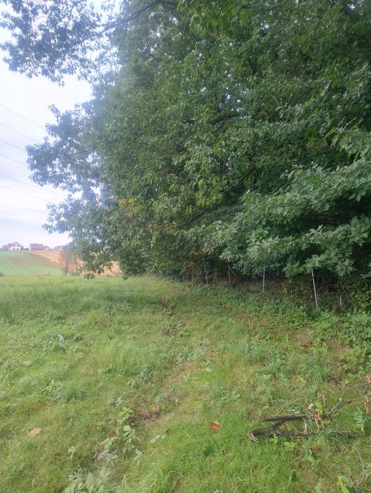 Działka Markowice przy lesie Obora