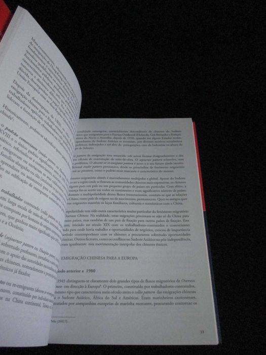 Livro A Comunidade de Negócios Chinesa em Portugal Rocha-Trindade