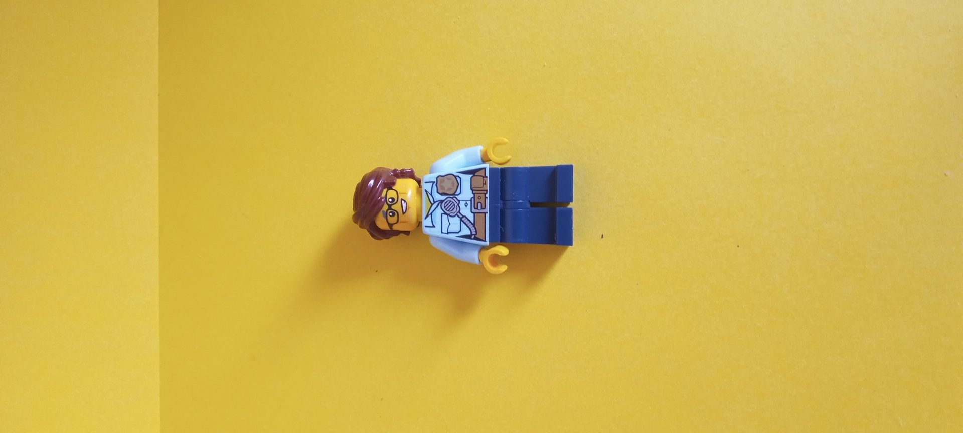 Lego ludrzik policija