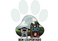 Treino de cães ao domicílio