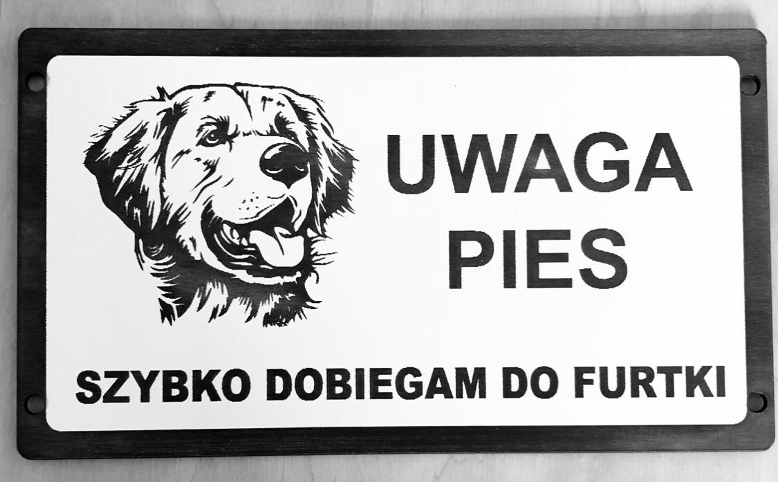 Tabliczki uwaga pies duży wybór