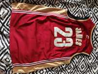 Koszulka treningowa LeBron James cleveland adidas