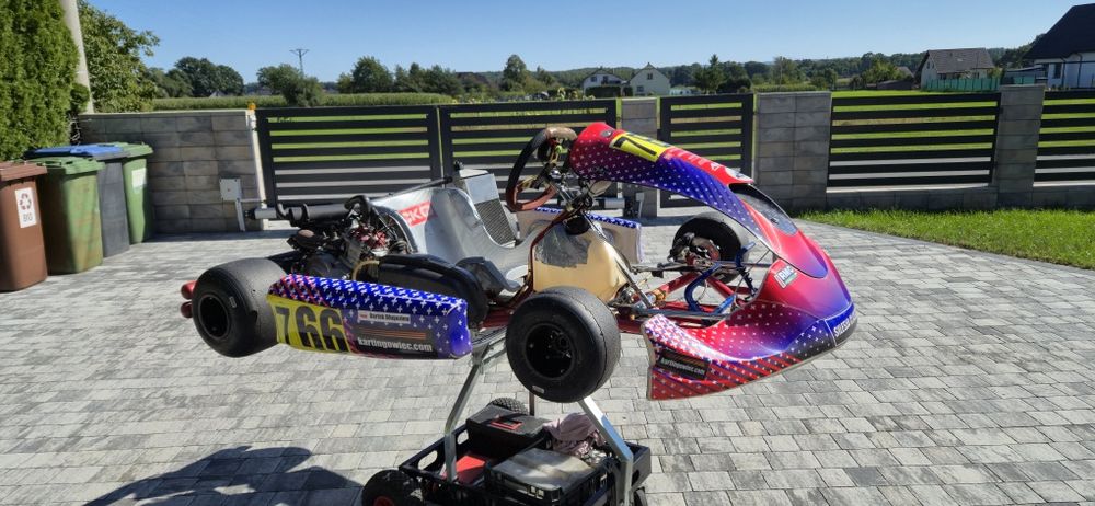 Gokart Birel Rotax DD2 evo
