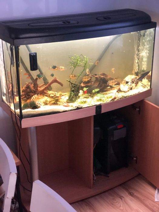 Akwarium 200 l zestaw