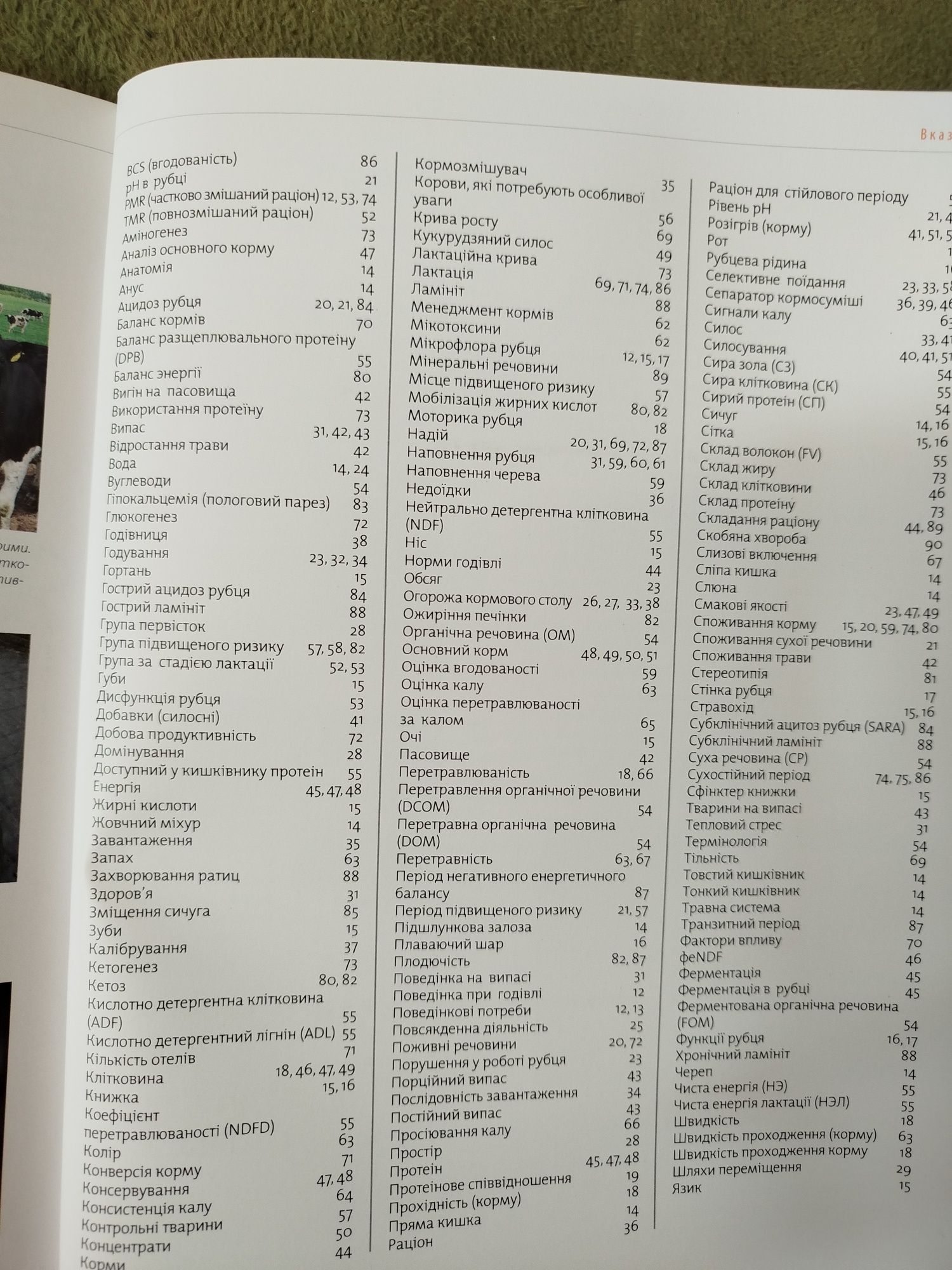 Книга Сигнали корів