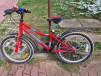 rower cross lea 20"