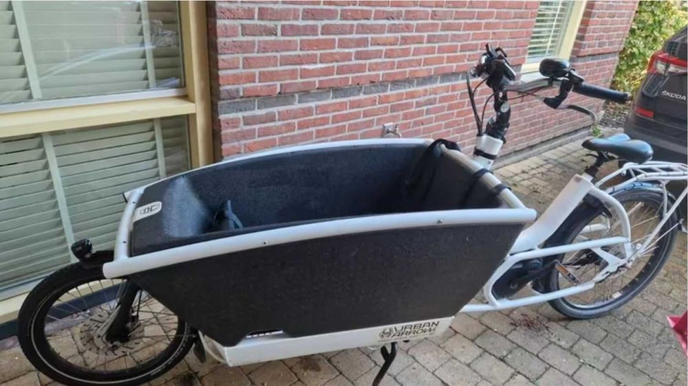 Urban Arrow Family Cargo Bike