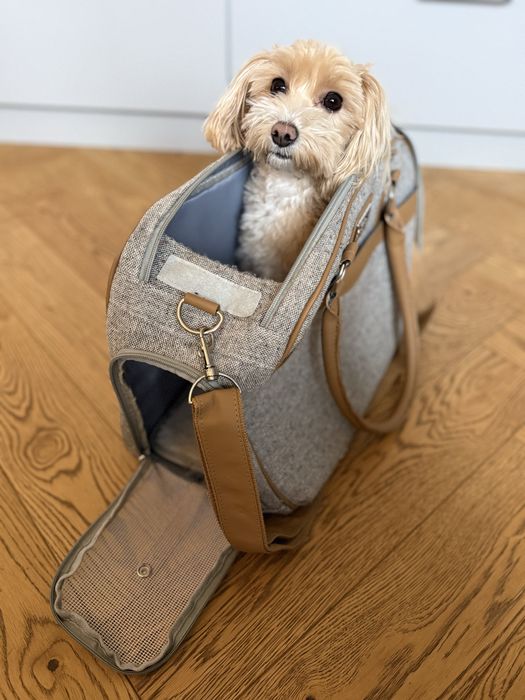 Torba / transporter na psa Mypet - używany