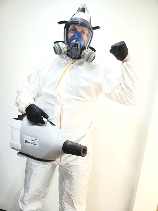 Pluskwa domowa, zwalczanie pluskiew, odpluskwianie, pchły, karaluchy