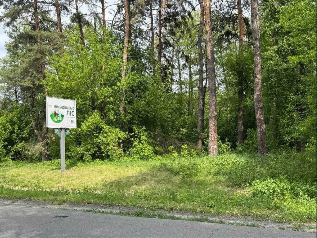 Ділянка площею у с. Вороньків. Фасад