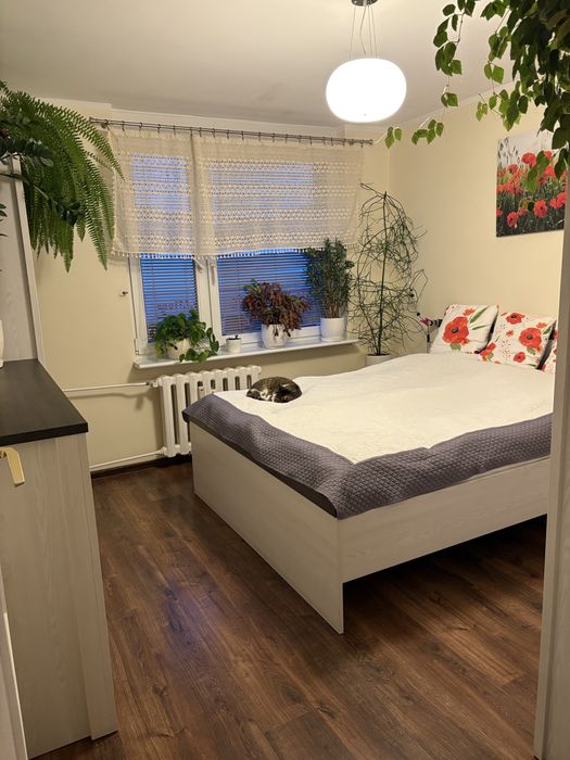 Mieszkanie dwupokojowe 45m2 przy Uniwersytecie Szczecinskim