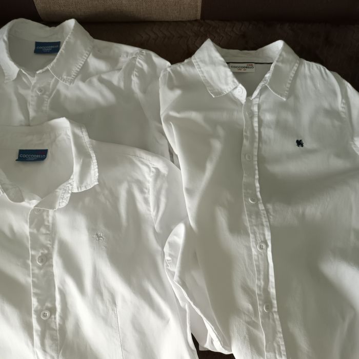 Koszule cocodrillo 140