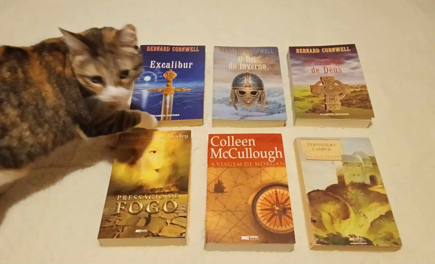 Livros vários, excalibur, presságio de fogo
