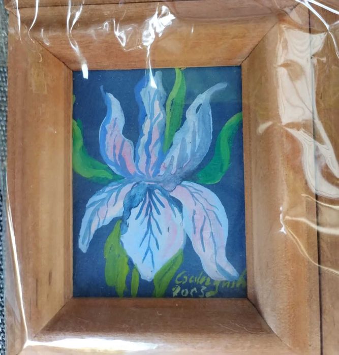 obrazki, 4 sztuki, kwiatki, irysy