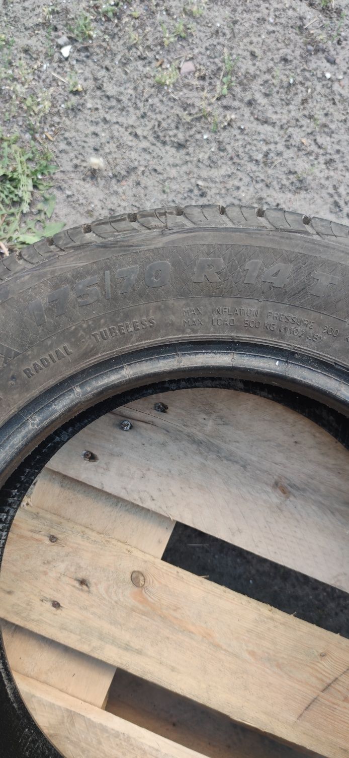 Opony PAXARO 175/70 R14T  4szt