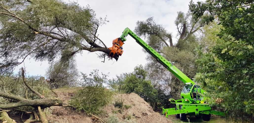 wycinka drzew za drewno, pielegnacja i  mulczowanie terenów