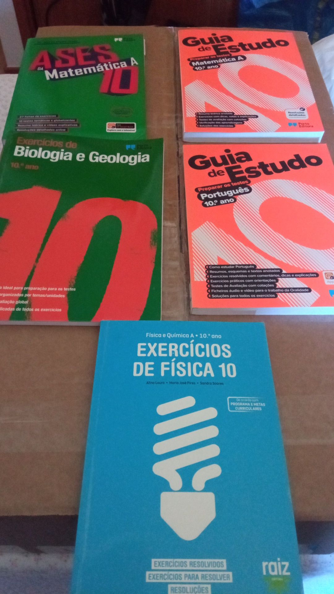 Manuais de treino para exame e provas finais 10/11