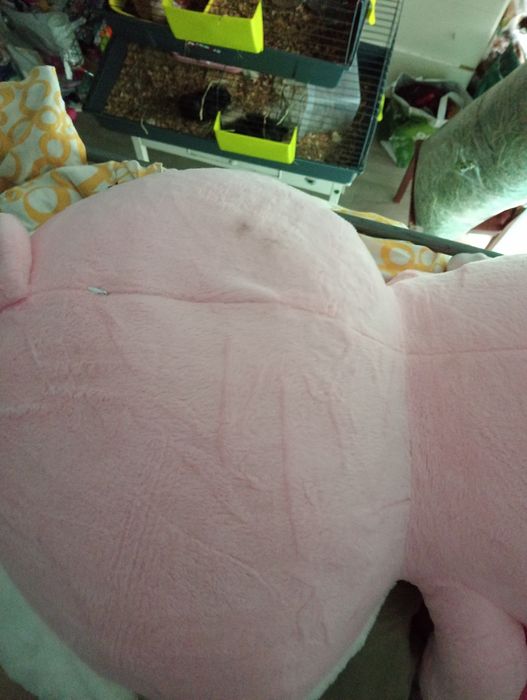 Hello kitty w ubranku rekinka odbiór osobisty