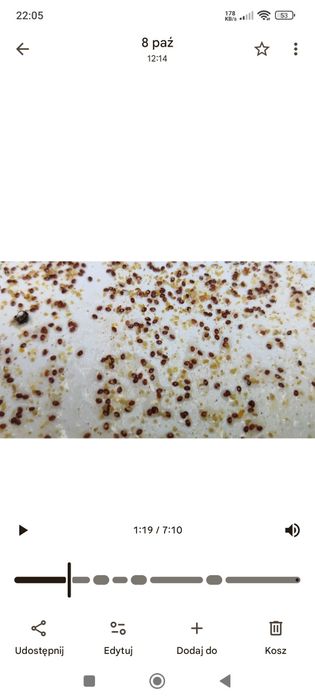 Sublimacja kwasu szczawiowego leczenie pszczół przeciw warrozie