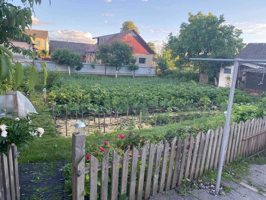 Продається будинок в Грицеві