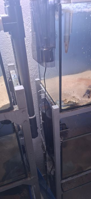 Aquários e estruturas