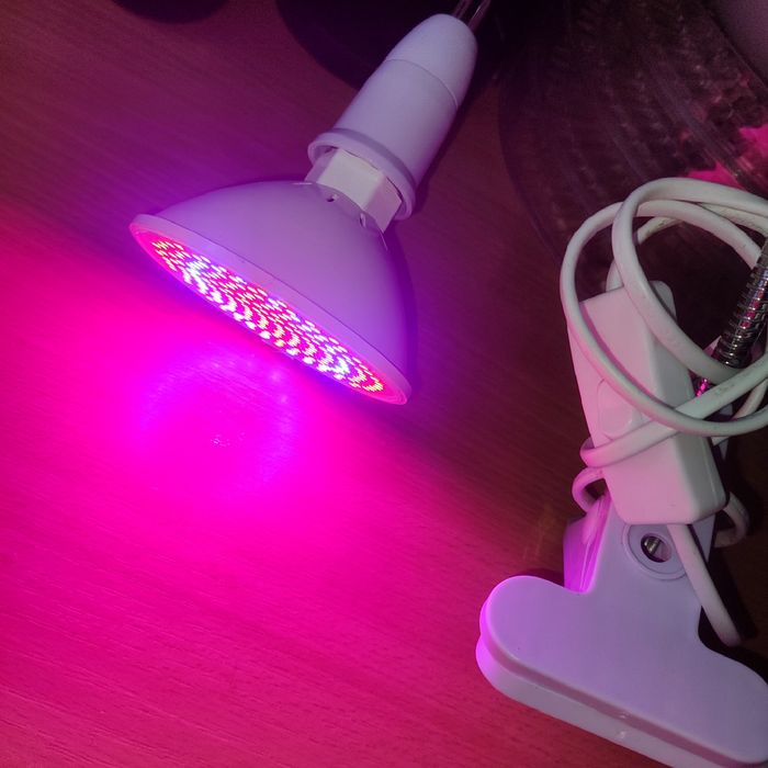 Lampa do uprawy roślin